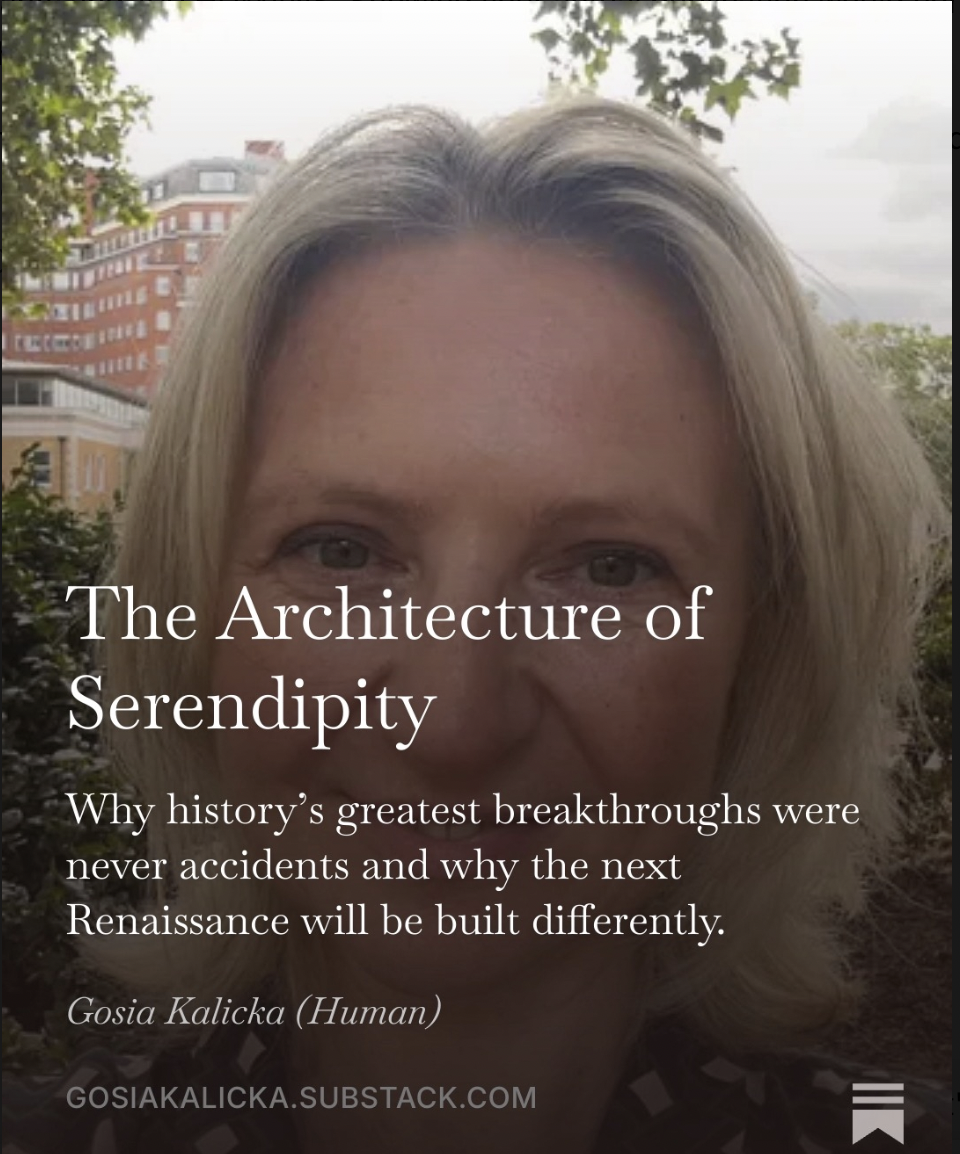 The Architecture of Serendipity by Gosia Kalicka on Substack